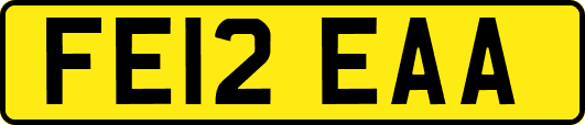 FE12EAA