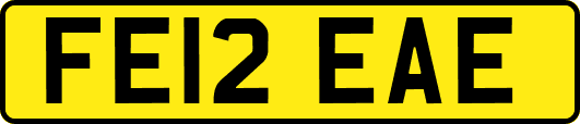 FE12EAE