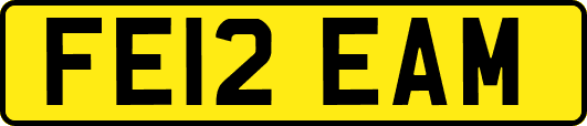 FE12EAM