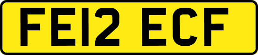 FE12ECF