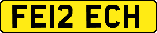 FE12ECH