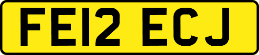 FE12ECJ