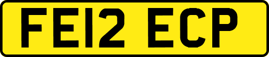 FE12ECP