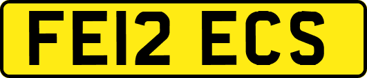 FE12ECS