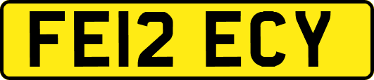 FE12ECY