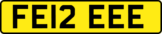 FE12EEE
