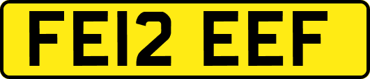 FE12EEF