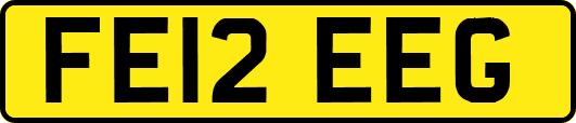 FE12EEG