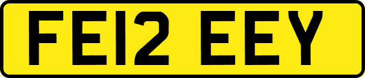 FE12EEY