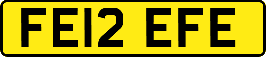 FE12EFE