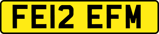 FE12EFM