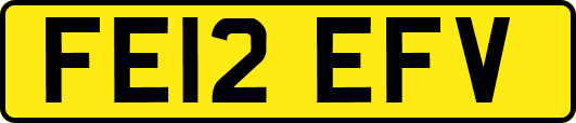 FE12EFV