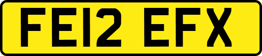 FE12EFX