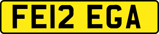 FE12EGA