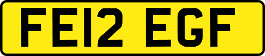 FE12EGF