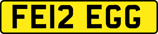 FE12EGG