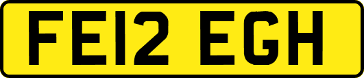 FE12EGH