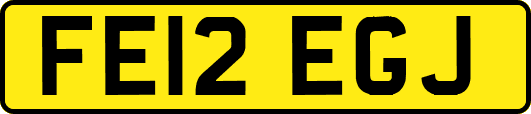 FE12EGJ