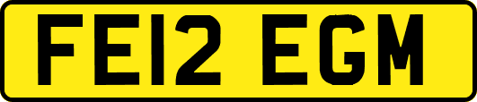 FE12EGM