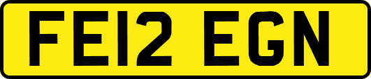 FE12EGN