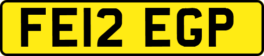 FE12EGP