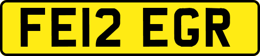 FE12EGR