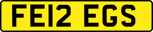 FE12EGS