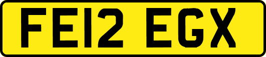 FE12EGX