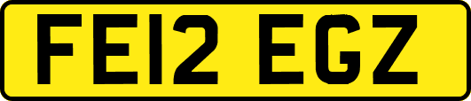 FE12EGZ