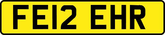 FE12EHR