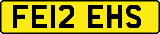 FE12EHS