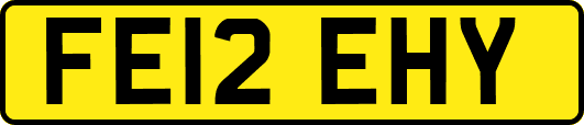 FE12EHY