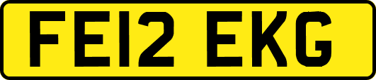 FE12EKG