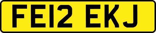 FE12EKJ