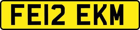 FE12EKM