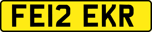 FE12EKR
