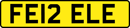 FE12ELE