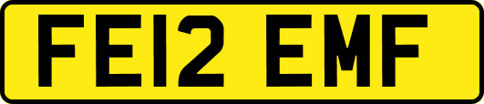 FE12EMF