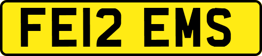 FE12EMS
