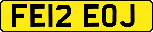 FE12EOJ