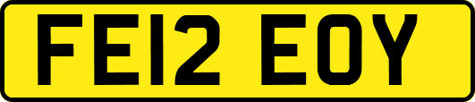 FE12EOY