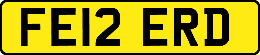 FE12ERD