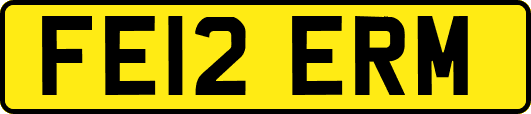 FE12ERM