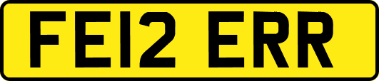 FE12ERR