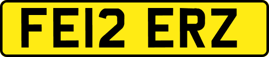 FE12ERZ