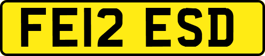 FE12ESD