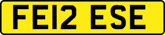 FE12ESE