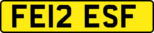 FE12ESF