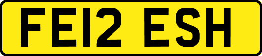 FE12ESH