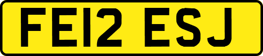 FE12ESJ